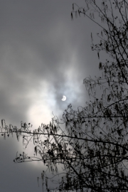 Eclips 20 maart 2015 Rijswijk Zuid-Holland, 11.21,31 uur. De Eclips was moeilijk te zien maar er waren een paar geluks momenten.